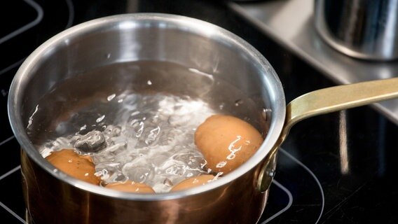 Eier kochen in einem Topf. © NDR Foto: Claudia Timmann