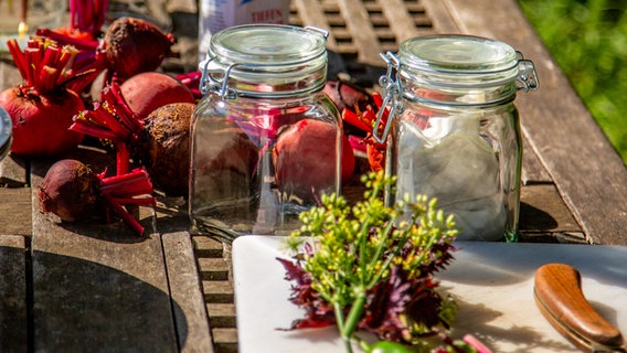 Frisch geerntete Rote Bete und zwei Drahtbügelgläser stehen bereit, um das Gemüse zu fermentieren. © NDR Foto:  Udo Tanske