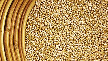 Quinoa in einer Holzschale. Quinoa in einer Holzschale. © fotolia.com Fotograf: hjschneider