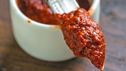 Harissa-Paste auf einer Messerspitze © fotolia.com Foto: Quanthem