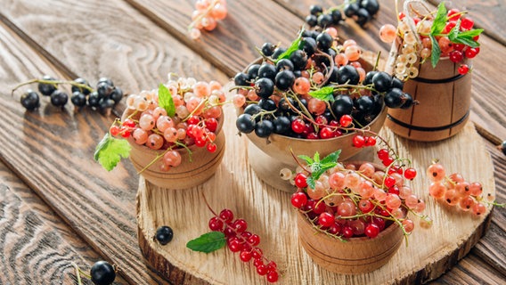 Rote, weiße und schwarze Johannisbeeren. © fotolia Foto: maryviolet