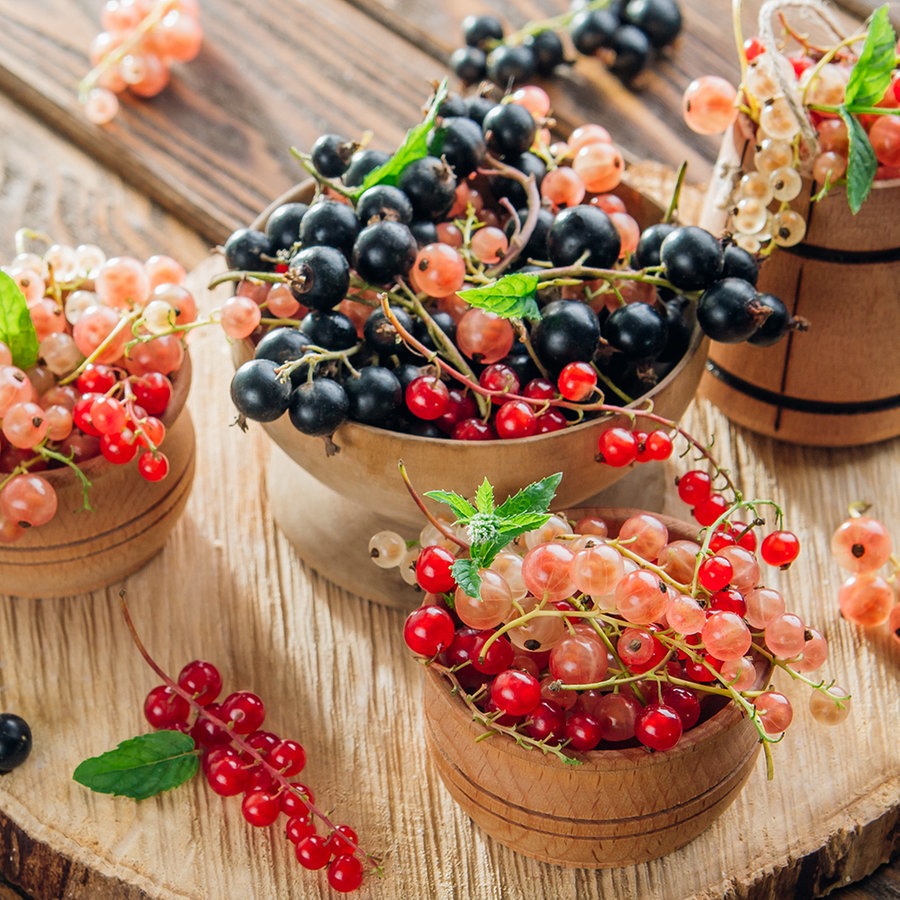 Rezepte Mit Frischen Schwarzen Johannisbeeren - Cuisine Rezept