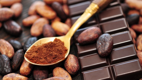 Kakaobohnen, Kakaopulver und eine Tafel Schokolade. © fotolia/photocrew 