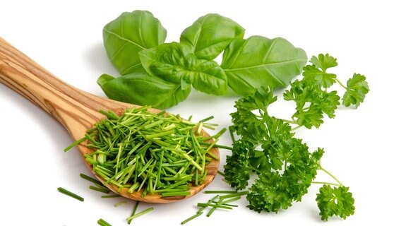 Frischer Kräuter © Fotolia.com Foto: emuck