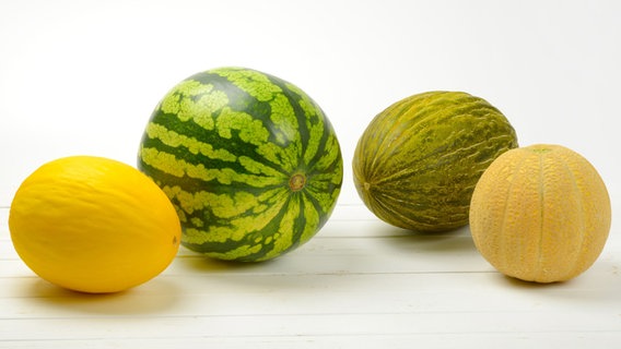 Vier unterschiedliche Melonen. © Colourbox Foto: Colourbox