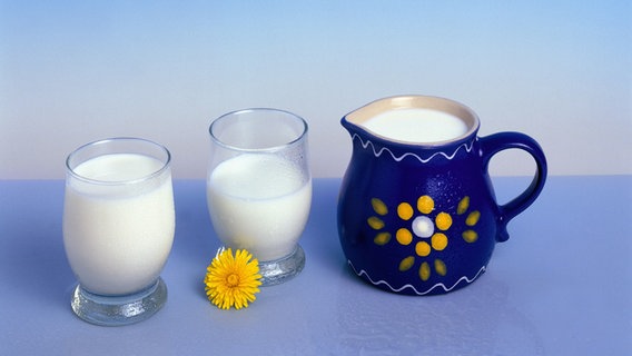 Zwei Gläser Milch neben einer Kanne aus bemalter Keramik. © picture-alliance / OKAPIA KG Foto: G.Büttner