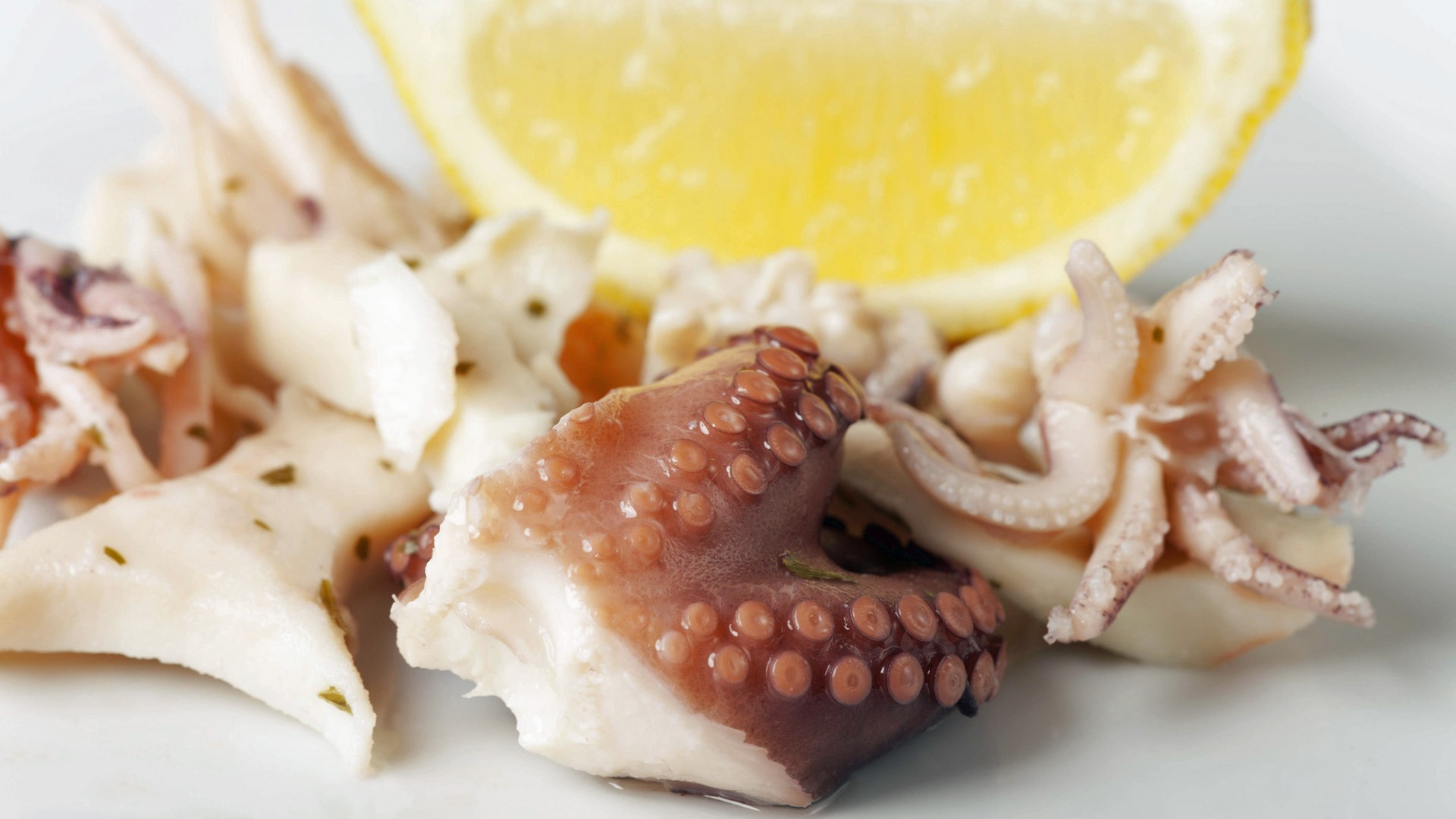 Oktopus (Pulpo) richtig zubereiten | NDR.de - Ratgeber - Kochen - Warenkunde