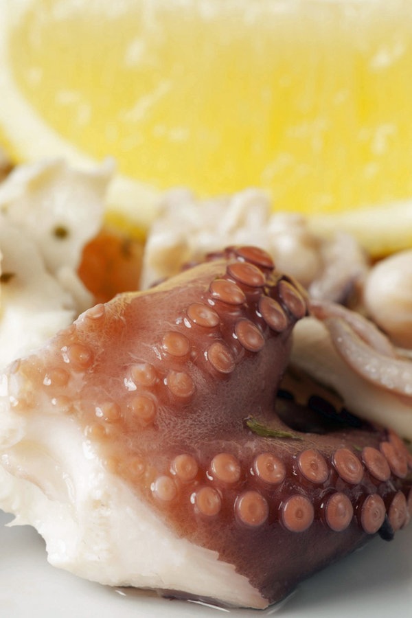Oktopus richtig zubereiten | NDR.de - Ratgeber - Kochen - Warenkunde