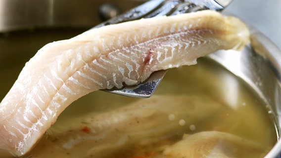 Pochiertes Fischfilet wird aus einem Topf gehoben. © Fotolia.com Foto: FOOD-micro