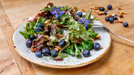Bunter Salat mit Blaubeeren, Nüssen und Dill auf einem Teller angerichtet. © NDR Foto: Claudia Timmann