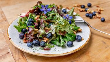 Bunter Salat mit Blaubeeren, Nüssen und Dill auf einem Teller angerichtet. © NDR Foto: Claudia Timmann