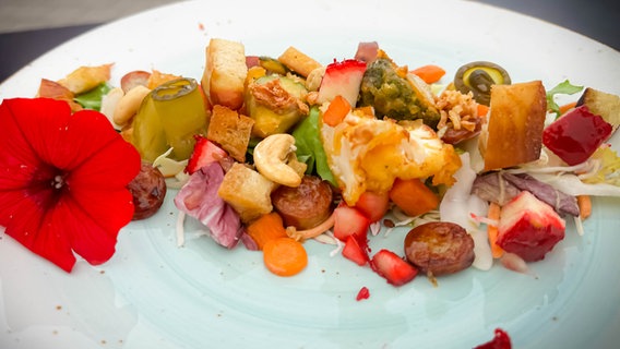 "Dom-Salat" ist auf einem Teller angerichtet. © NDR Foto: Dave Hänsel