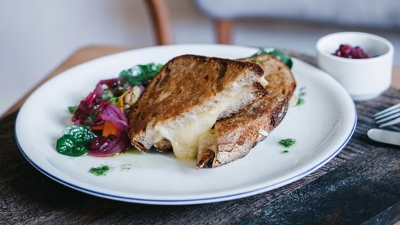 Ein gegrilltes Käse-Sandwich mit Salat auf einem Teller angerichtet © NDR Foto: Björn Lindenblatt
