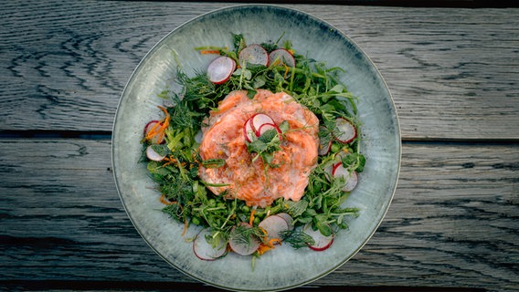 Gratinierter Lachs mit Erbsen-Zuckerschoten-Salat auf einem Teller serviert. © NDR Foto: Tarik Rose