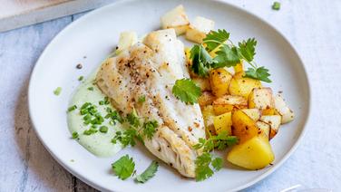 Auf einem Teller liegt ein Stück Zander mit Kohlrabi und Kartoffeln. © ZS-Verlag Foto: Claudia Timmann