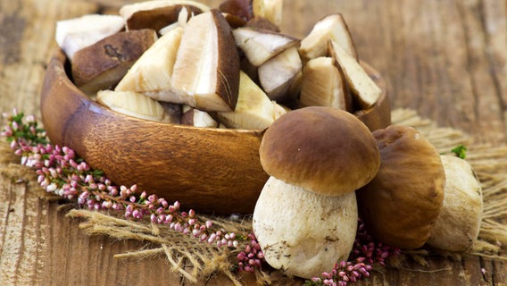 Pilze Richtig Zubereiten Ndr De Ratgeber Kochen Warenkunde