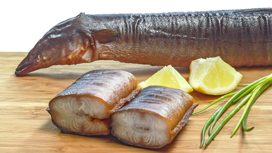 Warenkunde: Speisefisch Aal | NDR.de - Ratgeber - Kochen - Warenkunde
