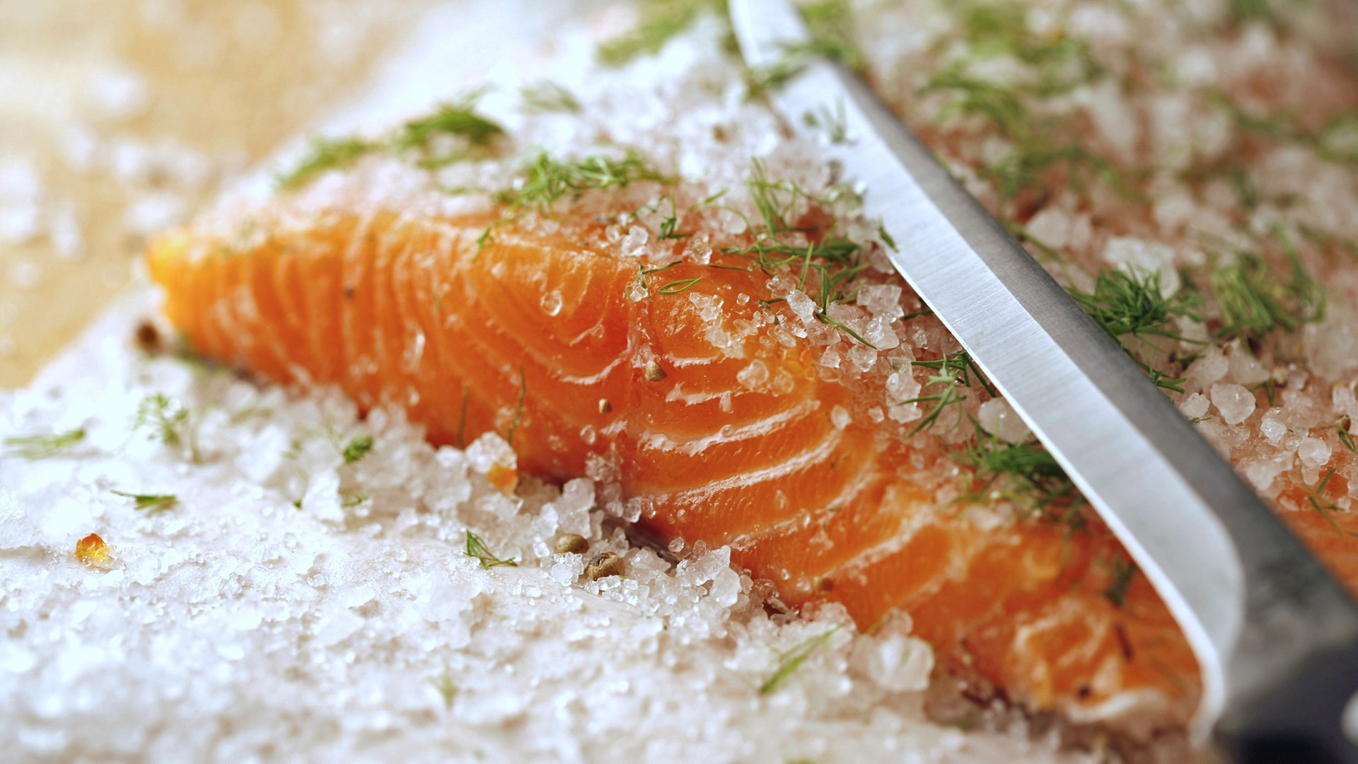 Wie Lange Darf Man Frischen Lachs Einfrieren / Raucherlachs Selber Machen Kaltgeraucherte