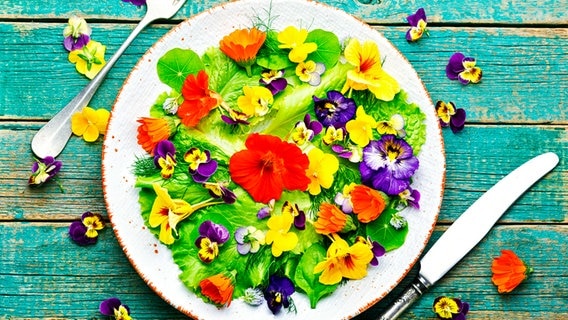 Ein grüner Salat, garniert mit verschiedenen essbaren Blüten. © panthermedia Foto: Mykola