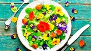 Ein grüner Salat, garniert mit verschiedenen essbaren Blüten. © panthermedia Foto: Mykola