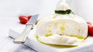 Burrata-Käse mit Olivenöl und kleinen Tomaten auf einem Brett. © fotolia.com Foto: larionovao