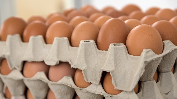Mehrere große Eierkartons mit braunen Eiern übereinander gestapelt. © Colourbox Foto: alho007