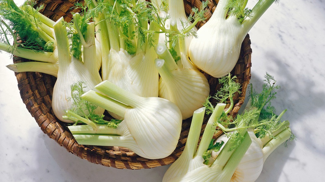 Fenchel lecker zubereiten | NDR.de - Ratgeber - Kochen - Warenkunde