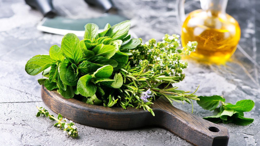 Cooking with fresh herbs: an aroma kick for many dishes |  > – Guide