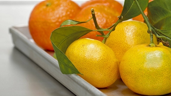 Zwei Mandarinen-Sorten auf einem Tablett © imago/Westend61 