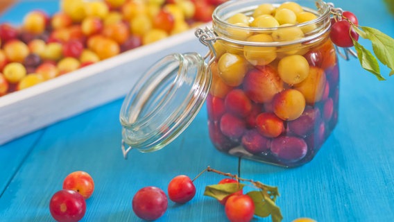Eingelegte Mirabellen in einem Glas, davor und dahinter weitere Früchte. © imago images / Westend61 