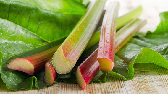 Fresh sticks of rhubarb lie on a wooden table.  © fotolia.com Photo: bit24