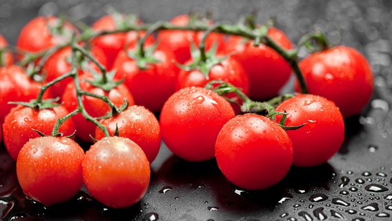 Tomaten an einer Rispe © imago images / agefotostock 