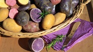 Alte Kartoffelsorten in Violett, Dunkelrot und Natur in einem Korb teilweise aufgeschnitten. © fotolia Foto: Karina Baumgart