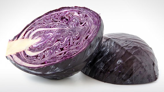 Red cabbage © fotolia Photo: womue