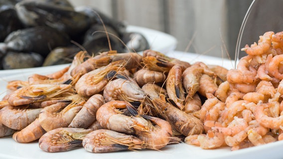 Zutat &amp;quot;Nordseekrabben&amp;quot; | NDR.de - Ratgeber - Kochen