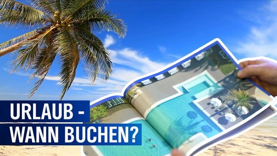 Ein Traumstrand mit Palme. Darauf ist zu sehen, wie in einem Reiseprospekt geblättert wird. Der Text lautet: Urlaub - wann buchen? © rbb 