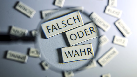 Durch eine Lupe sieht man kleine Schilder mit den Aufschriften "FALSCH" "ODER" "WAHR". © photocase Foto: Kallejipp