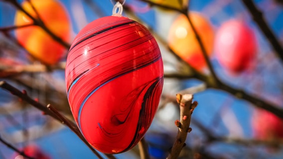 Bunte Plastikeier hängen in einem Baum © colourbox 