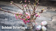 Ein blühender Pfirsichzweig in einer Vase und drei bemalte Ostereier. © NDR Foto: Anja Deuble
