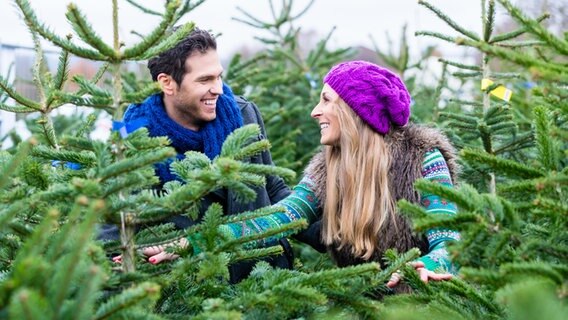 Lächelndes Paar zwischen Tannenbäumen © fotolia Foto: Kzenon