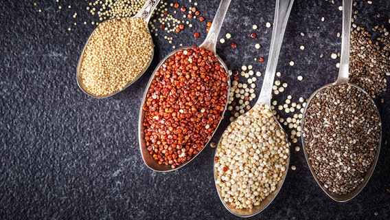 Verschiedene Sorten Quinoa auf vier Löffeln. © Colourbox 