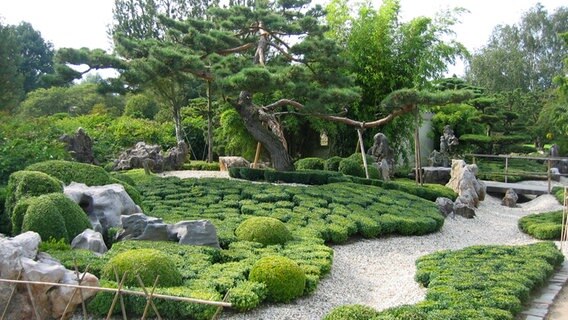 Der japanische Garten im Arboretum Ellerhoop. © NDR Foto: Oliver Klebb