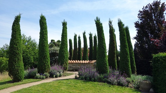 Toskana-Garten mit Zypressen im Arboretum Ellerhoop. © NDR Foto: Kathrin Weber