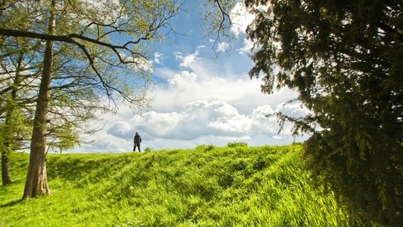 Ein Mensch geht über einen Weg am Waldesrand, weiße Wolken ziehen über einen blauen Himmel. © Photocase Foto: -