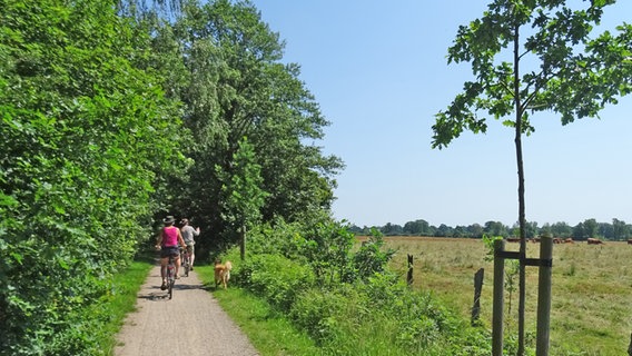 Radfahrer fahren auf dem Bahnradweg zwischen Bad Oldseloe und Henstedt Ulzburg durch die Felder. © NDR Foto: Irene Altenmüller