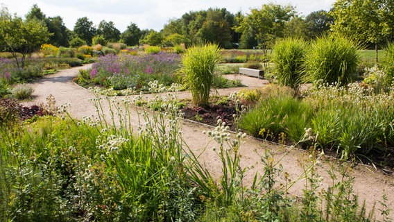 Das Blütenband im Stadtpark Norderstedt. © Stadtpark Norderstedt / Frank Jasper 