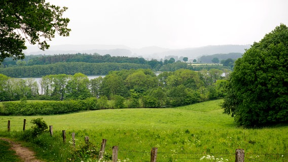 Blick auf einen See, der von Bäumen, Büschen und Feldern umgeben ist. Im Hintergrund sind Regenwolken zu erkennen. © NDR Foto: Anja Deuble