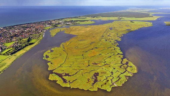 Die Insel Kirr bei Zingst aus der Luft. © imago Foto: Hans Blossey