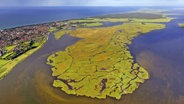Die Insel Kirr bei Zingst aus der Luft. © imago Foto: Hans Blossey