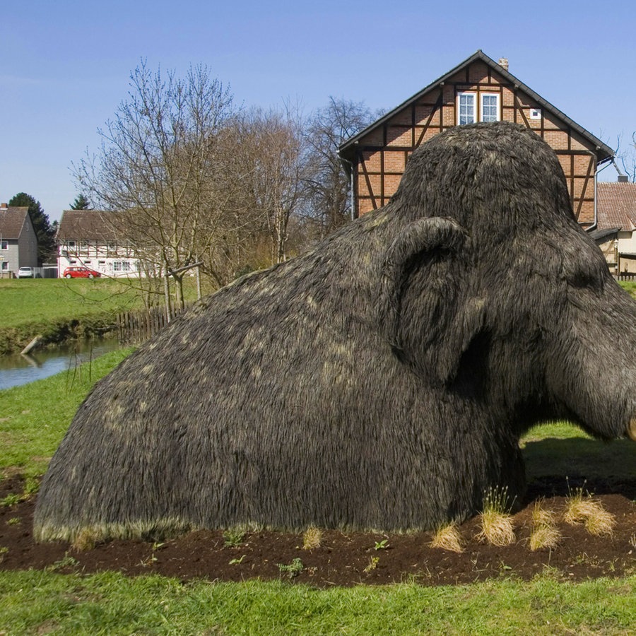 Eine Mammutfigur im Eiszeitgartem von Schloss Salder in Salzgitter. © picture alliance Foto: Bildagentur-online/Scholz-McPhoto